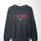 LOTE 10 SUDADERAS AMERICANAS - Grado A